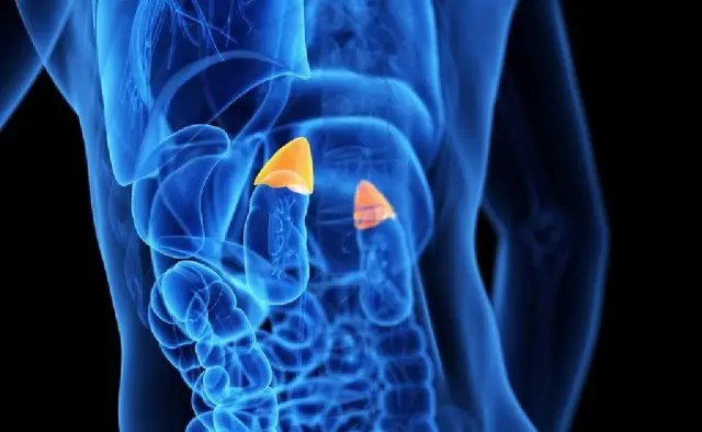 Если кажется, что прогноз погоды обычно неверен, вы правы