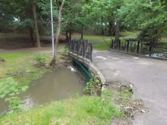 Хорошо, так что, может быть, они все-таки не будут будить мертвецов мозга