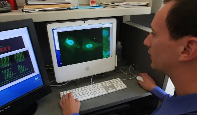 Разрабатывается новый имплантат для улучшения памяти человека