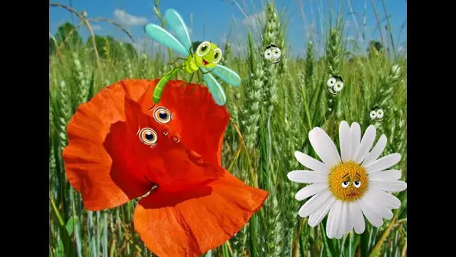 Скоро на обочине рядом с вами: роботы-сборщики мусора