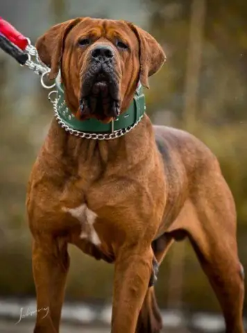 В сложных отношениях разговор все еще лучше, чем текстовые сообщения