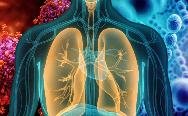 Новый метод различает ДНК мамы и папы