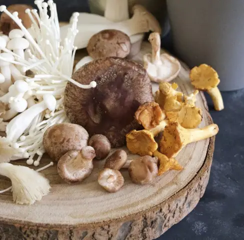 Веганы и вегетарианцы побеждают на Октоберфесте в Мюнхене