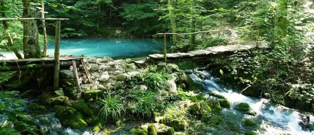 Вместо устранения эффекта красных глаз отправьте робота