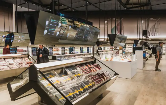 Создание Университета Будущего Лиги Плюща