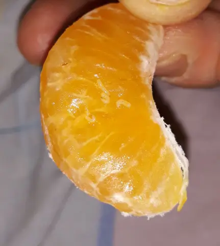 Передай мне миску с личинками, а?