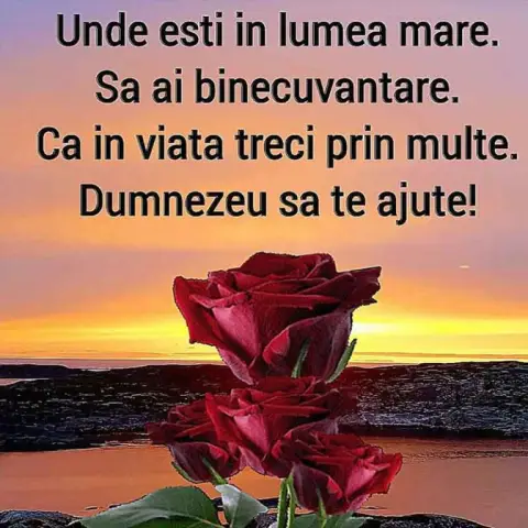 Помогите своим сотрудникам помочь вам