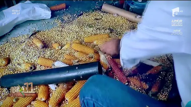 Сплетни, или Как испортить бизнес