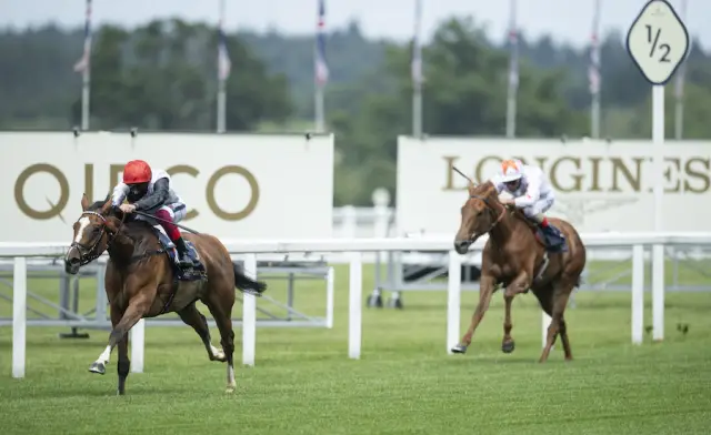 Dell превратилась из Darling в Dog?