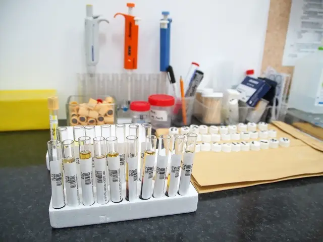 Для всей семьи, бесплатно