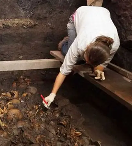 Электронно-ионный коллайдер раскроет некоторые из величайших загадок науки