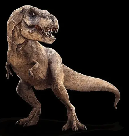 Tyrannosaurus rex может быть тремя разными видами