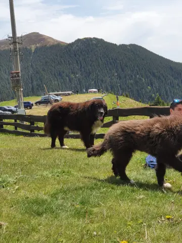 Почему мы исследуем: жадность, вуайеризм, любопытство