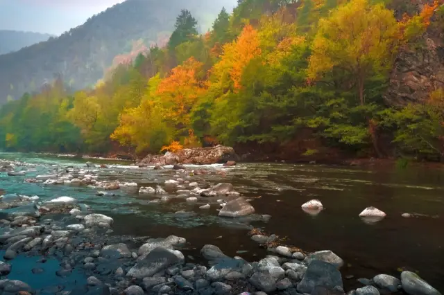 Долина кукол: проблемы с заработной платой женщин в технологическом «Шангри-ла» Силиконовой долины