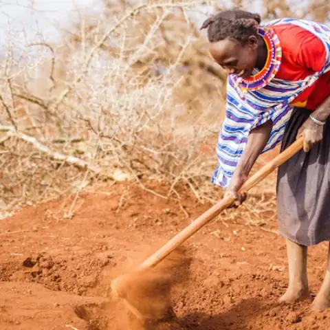 Это не нормально: глобальное потепление, лесные пожары и необходимость изменить наш образ жизни