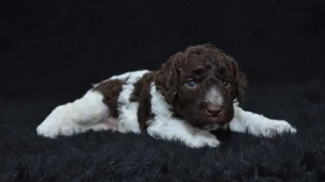 Поздравляем, республиканцы: вам удалось сделать старые дебаты об абортах неуместными