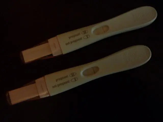 The Pee Stick (БЕРЕМЕННОСТЬ)