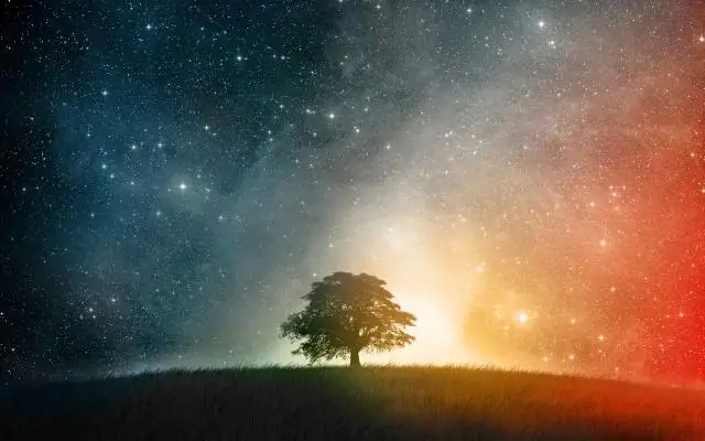 Тринитарная духовность, 25: Исходный код