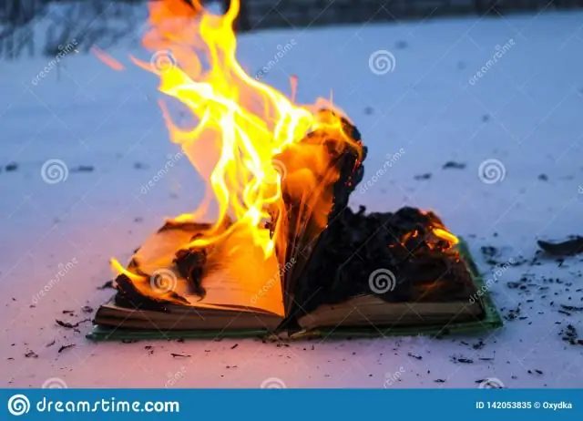 ЮНЫЙ МЕССИЯ в мире в огне