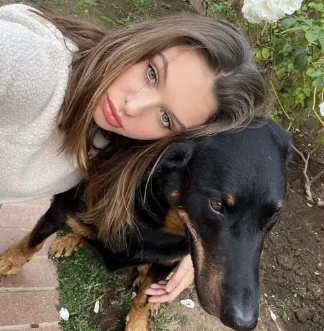 Веселый летний хоррор