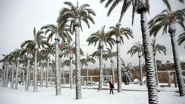 Блаженны миротворцы среди талибов