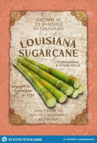 Культура, в которой мы живем