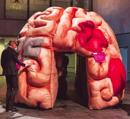 Одиночество и наш социальный мозг