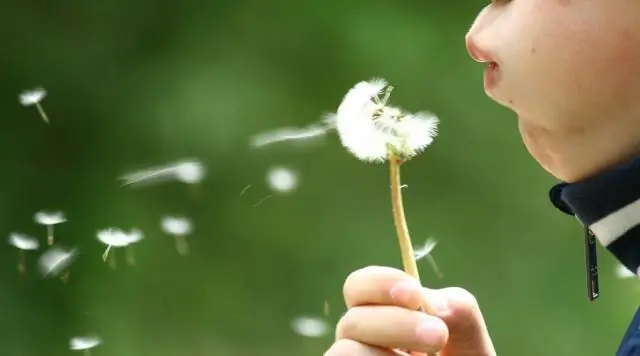 Искупление и стойкость