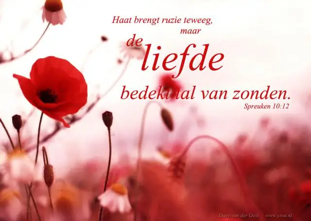 Библия "Разбитая и хрупкая". Смирись с этим