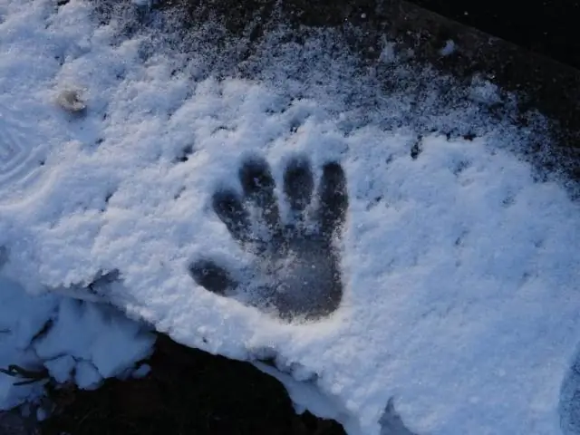 Нетронутый золотой рудник РОЖДЕСТВА, о котором никто не знает