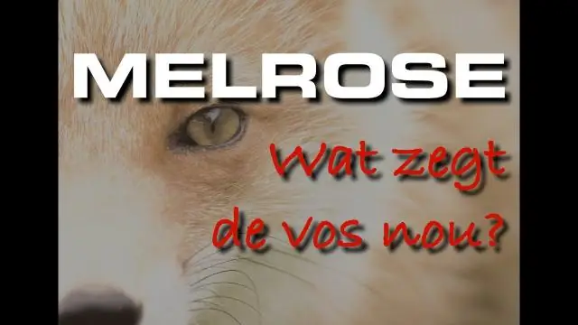 Что говорит [Серебряный] лис?