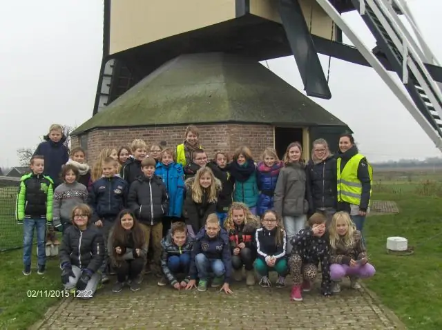 Пересматривая «Мусульманку» Мириам Кук